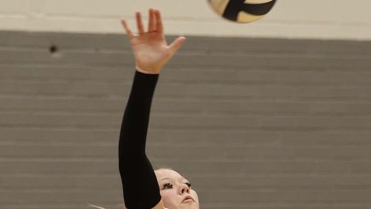 Bulldog fall sports teams ready for action