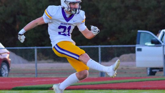 Bulldogs fall to Cardinals on the gridiron