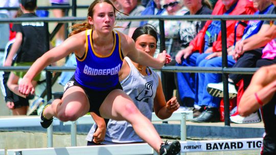 Bulldogs finish third at Bayard BCD