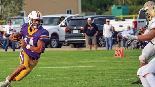 Bulldogs rally to knock off Irish