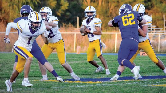Bulldogs tame Lions to tune up for unbeaten Bobcats