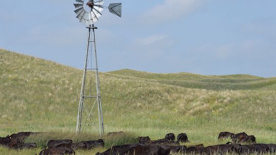 Engaging Agriculture