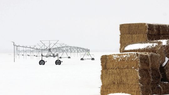 Engaging Agriculture