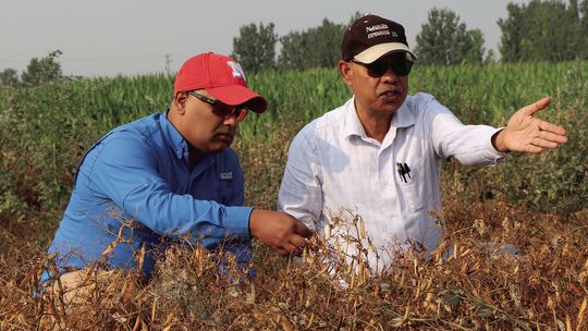 Engaging Agriculture
