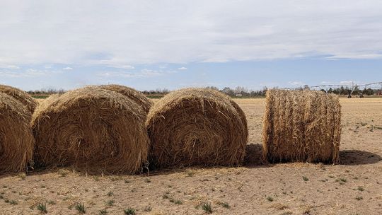 Engaging Agriculture