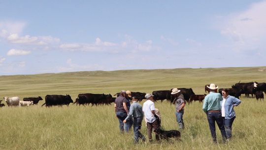Free farm and ranch succession workshops offered in the Panhandle