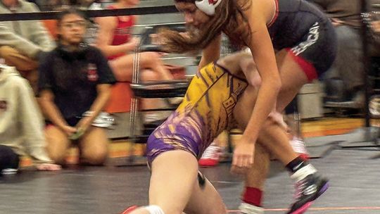 Jeffords, Menke win wrestling titles in Mitchell