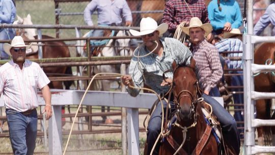 Johnston, Daly take home allaround titles from Camp Clarke Stampede Rodeo