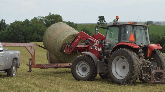 Nebraska recovery roundup: Emergency haying and grazing Conservation Reserve Program (CRP) acres