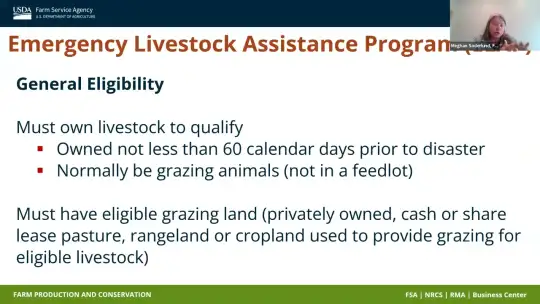 USDA wildfire recovery resources