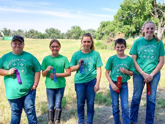 4-H Shooting Sports - Archery