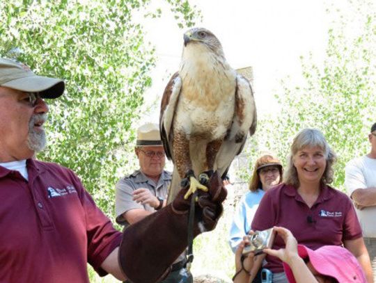 Black Hills Raptor Center at Agate Fossil Beds National Monument this Friday, August 2nd