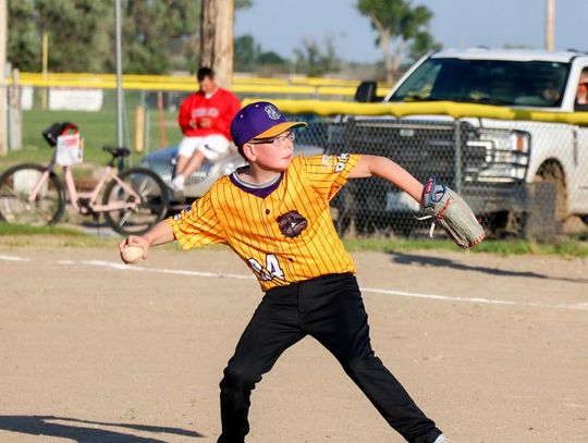 Bridgeport little league baseball is back in session