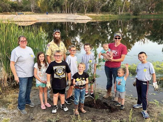 Bridgeport Scouts plant trees