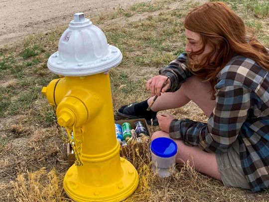 Broadwater fire hydrants painted