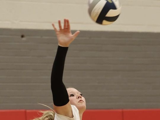 Bulldog fall sports teams ready for action