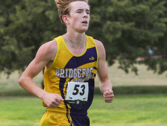 Bulldog runners claim more medals