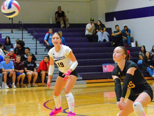 Bulldogs end six th at SPVA volleyball tourney