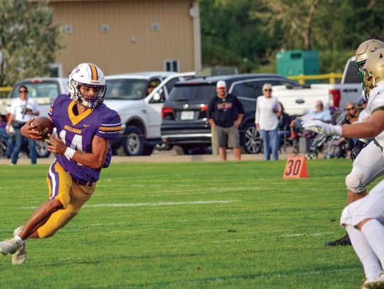 Bulldogs rally to knock off Irish