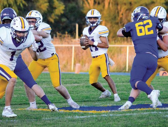 Bulldogs tame Lions to tune up for unbeaten Bobcats