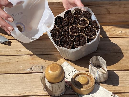 Easy and affordable winter seed star ting