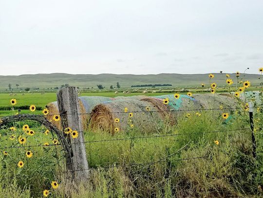 Engaging Agriculture