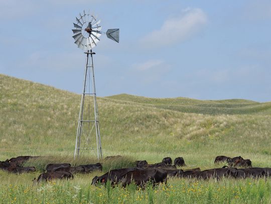 Engaging Agriculture