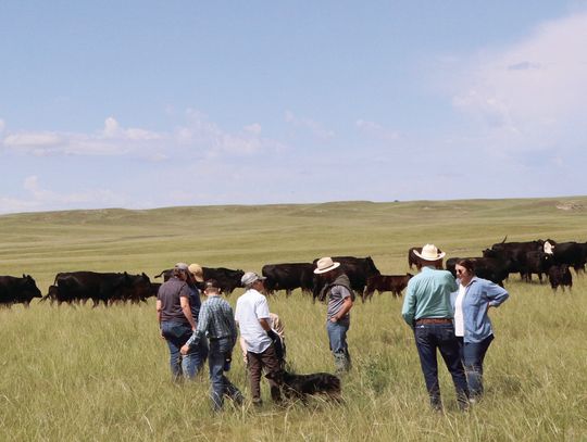 Engaging Agriculture