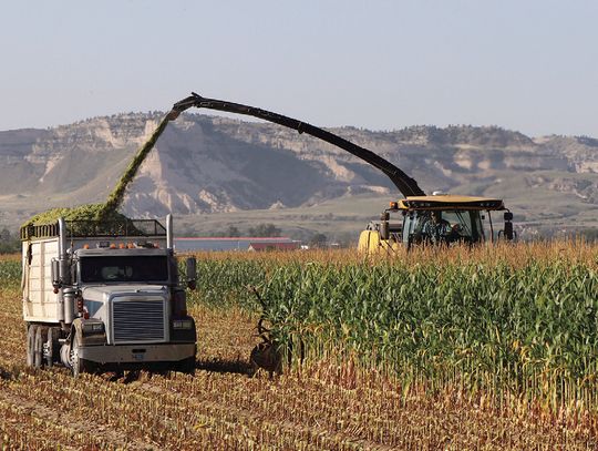 Engaging Agriculture