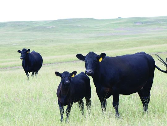 Engaging Agriculture