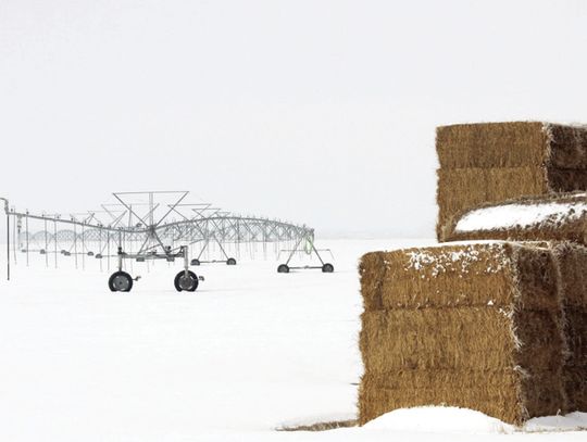 Engaging Agriculture