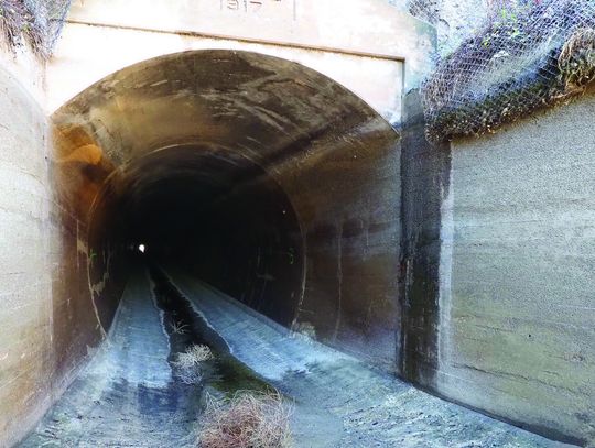 Engaging Agriculture