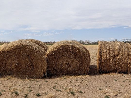 Engaging Agriculture
