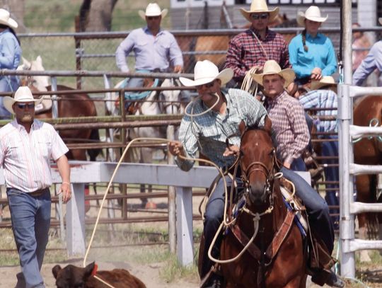 Johnston, Daly take home allaround titles from Camp Clarke Stampede Rodeo