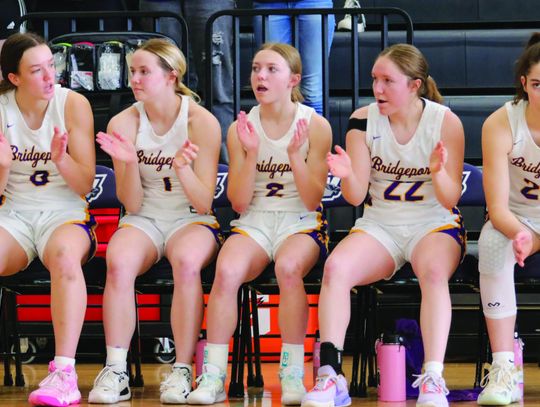 Lady Bulldogs enjoyed history-making, record-setting season on hardwood