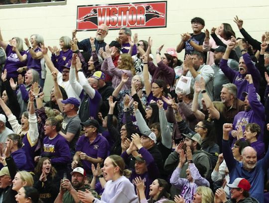 Lady Bulldogs knock off No. 1 Sidney to win sub-district title