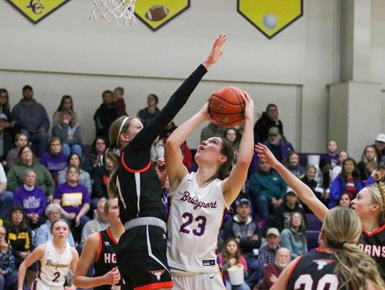 Lady Bulldogs win another sub-district title