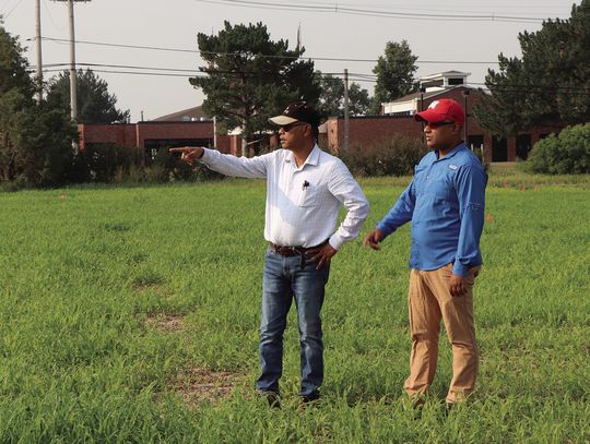 Supplementing dryland wheat and irrigated corn with proso millet in drought years