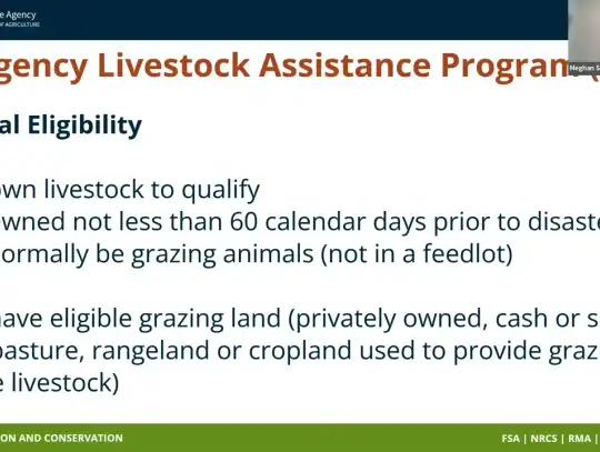 USDA wildfire recovery resources