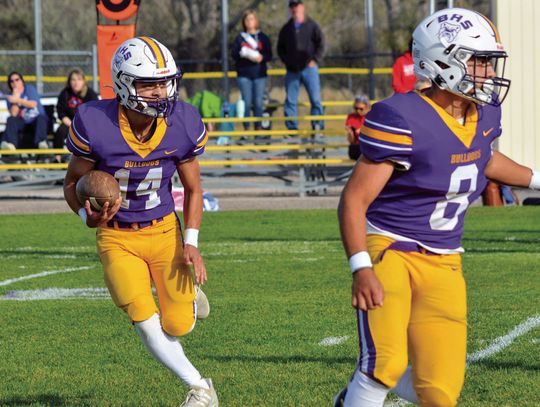 Weibert leads Bulldogs to first-round playoff win