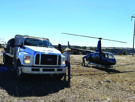 Wildcat Hills wildlife and livestock to benefit from cheatgrass grant