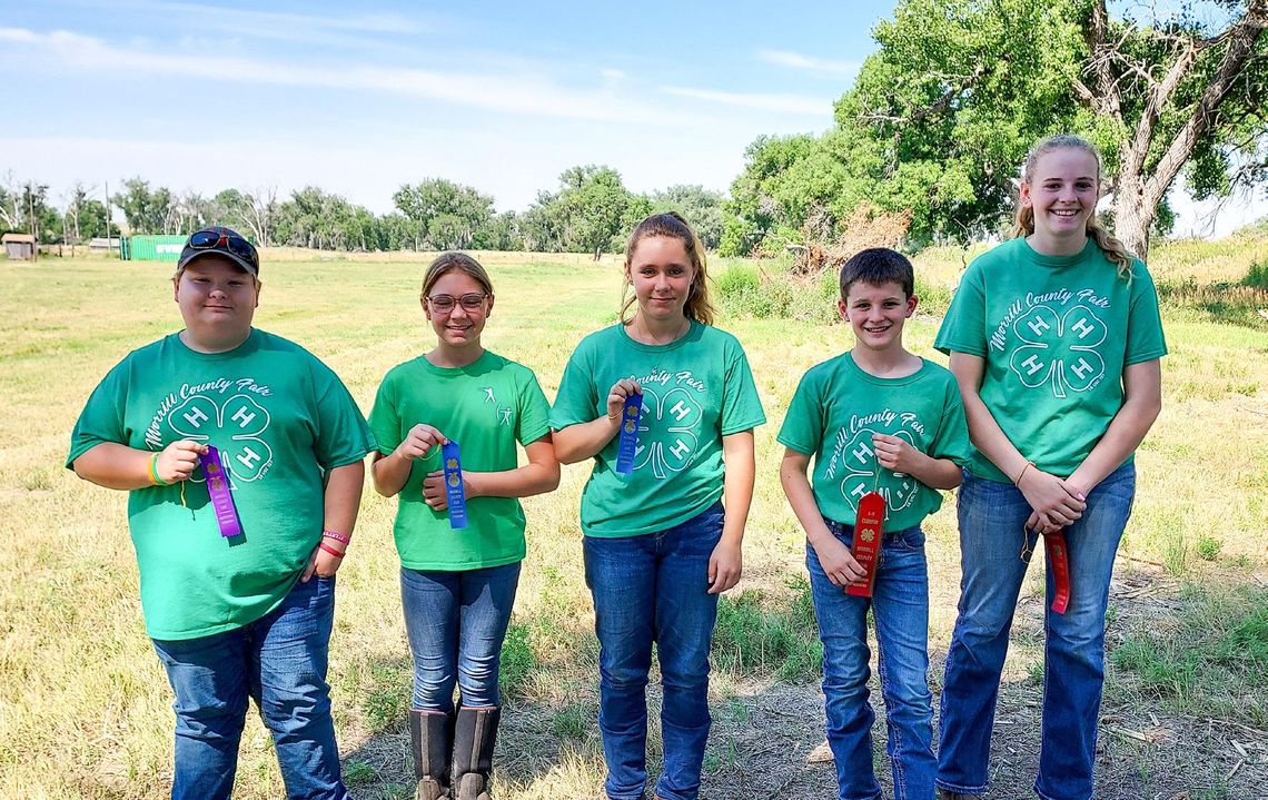 4-H Shooting Sports - Archery