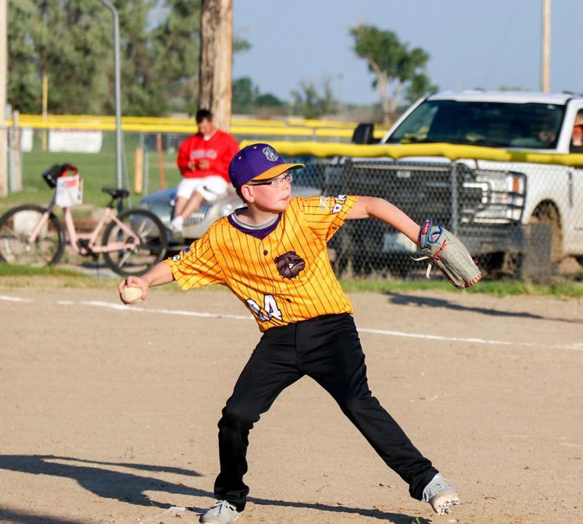 Bridgeport little league baseball is back in session