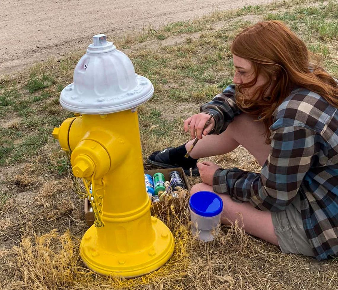 Broadwater fire hydrants painted