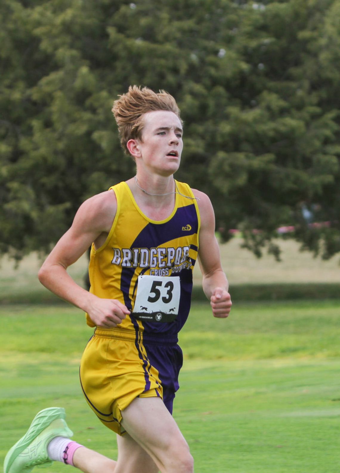 Bulldog runners claim more medals