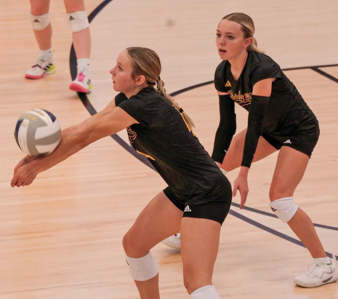 Bulldog volleyball season comes to a close