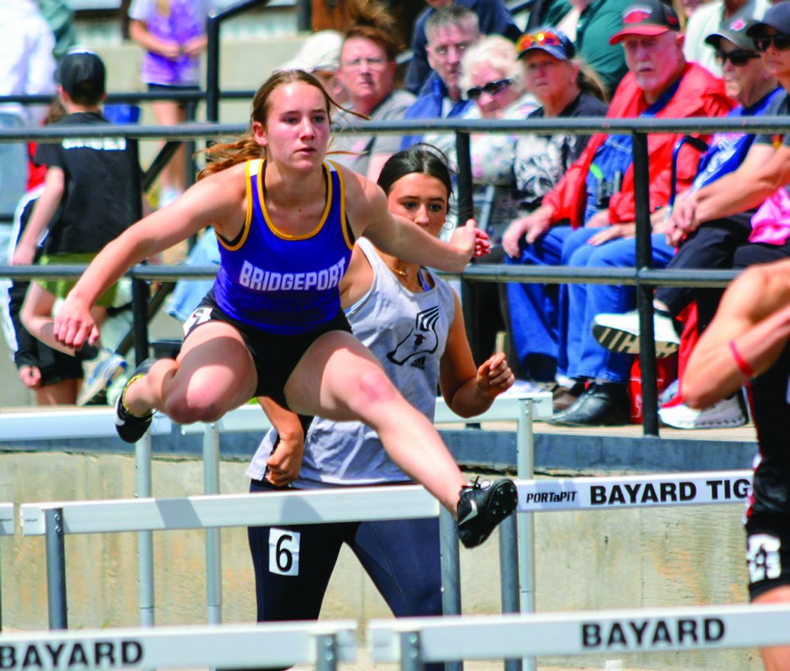 Bulldogs finish third at Bayard BCD