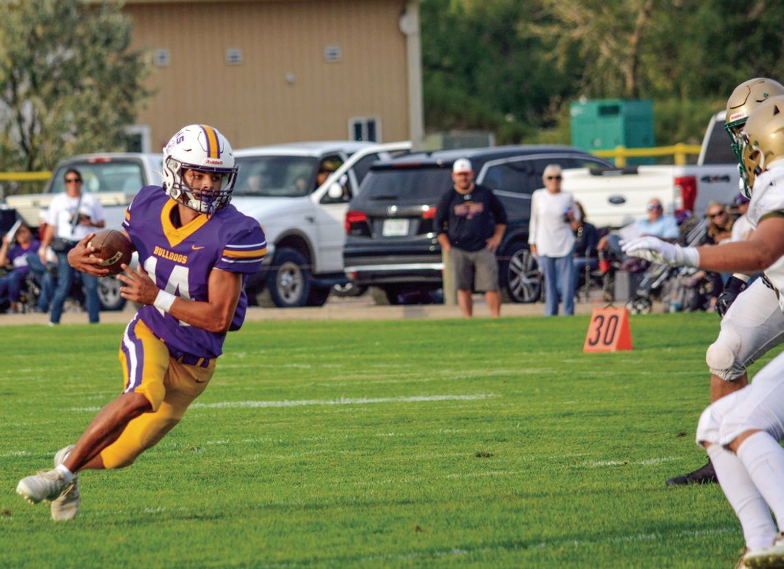 Bulldogs rally to knock off Irish