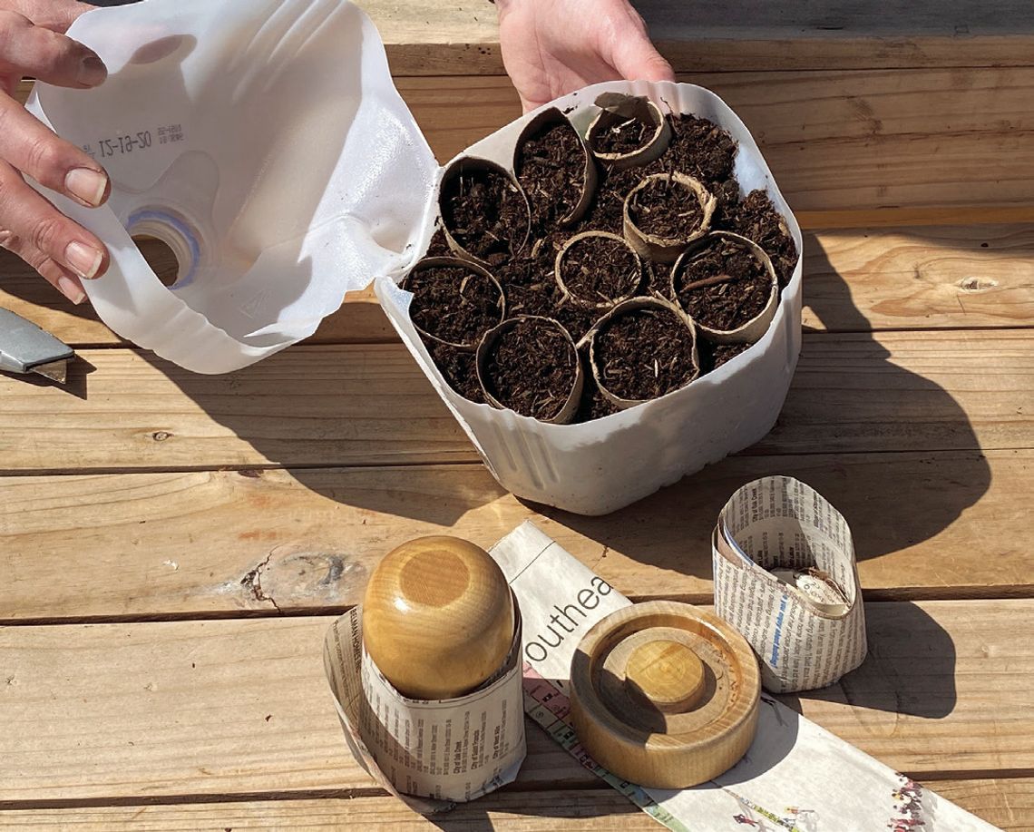 Easy and affordable winter seed star ting Easy and affordable winter seed star ting