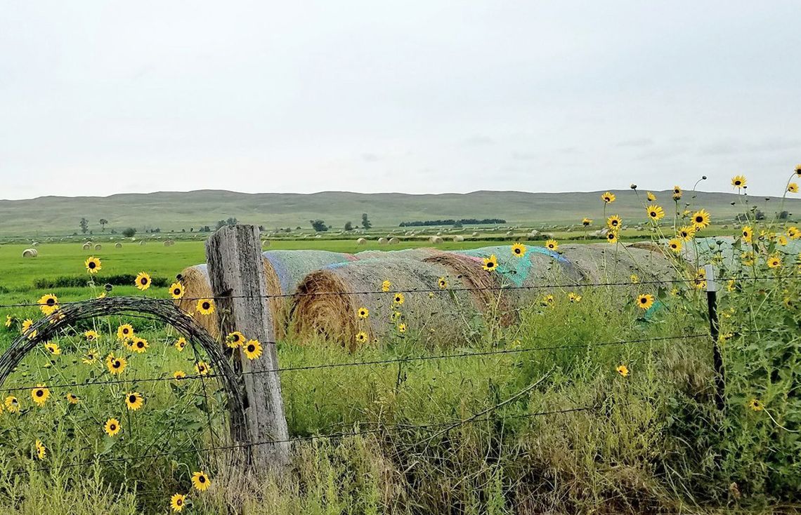 Engaging Agriculture